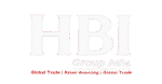 hbicompany.online